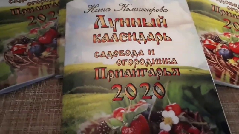 The best time to plant fruit trees in the Moscow region: to plant in spring or autumn?