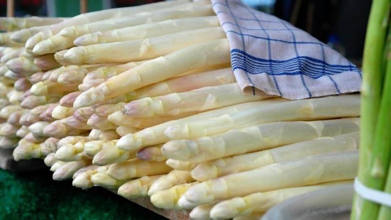 What is white asparagus and why is it that color