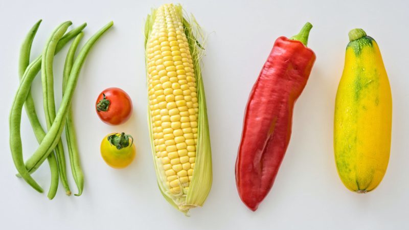 How to distinguish feed corn from food corn and the uses of both types