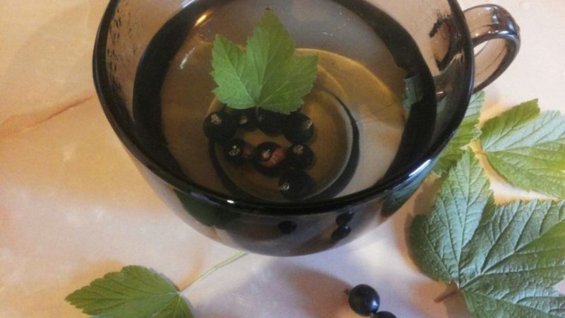 How to make tea from currant leaves and how it is useful for the body