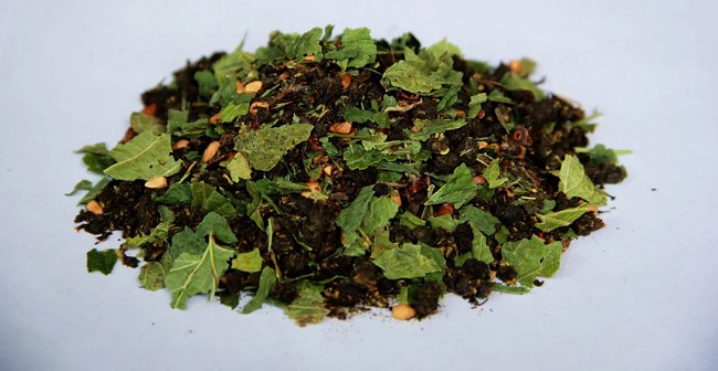 How to make tea from currant leaves and how it is useful for the body