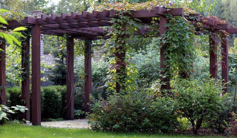 How to make a grape pergola with your own hands