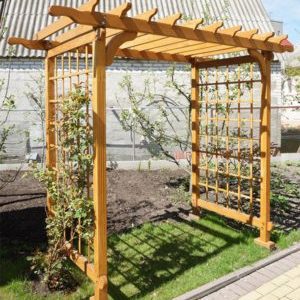 How to make a grape pergola with your own hands
