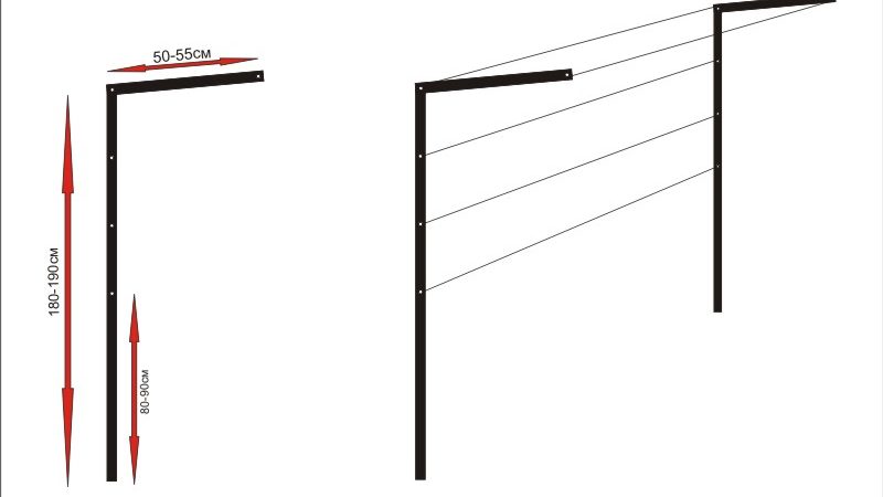 Varieties and independent production of grape trellis