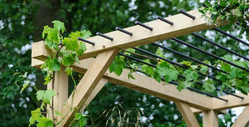 How to make a grape pergola with your own hands