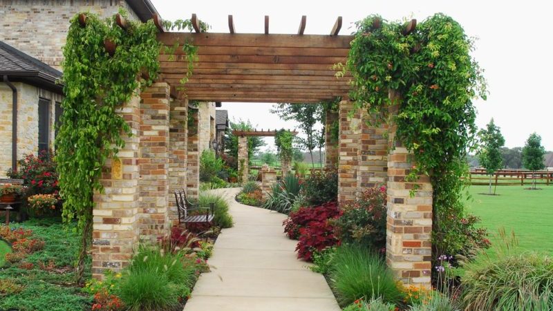 How to make a grape pergola with your own hands