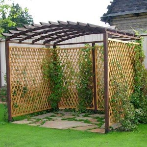 How to make a grape pergola with your own hands