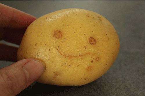 Why during pregnancy pulls potatoes and is it possible to eat it