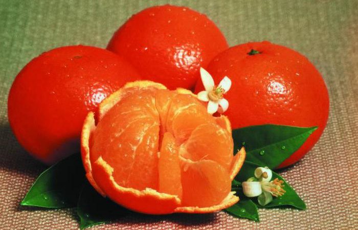 What is the name of a hybrid of lemon and tangerine