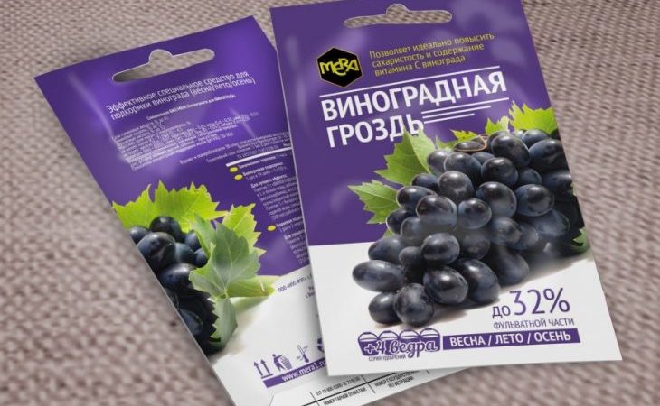 August Grape Care Guide & Tips from Experienced Winegrowers