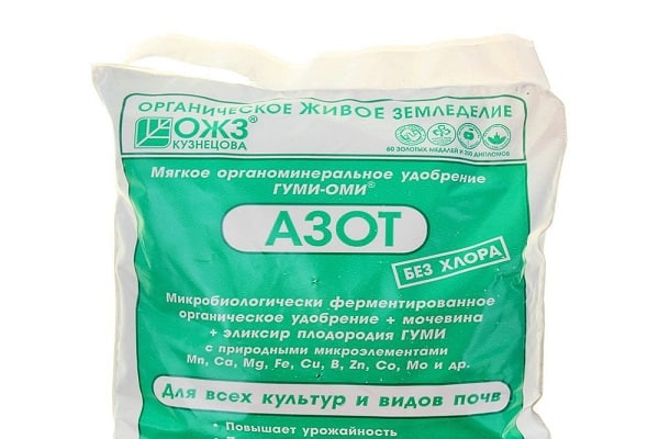 How much and how often to water the apricot in the summer: detailed instructions