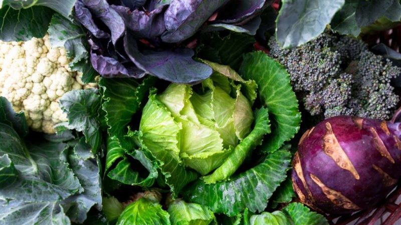 Find out if there is starch in cabbage and what are the benefits and harms of starchy vegetables