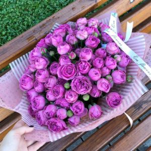 How to grow purple roses and which varieties to choose