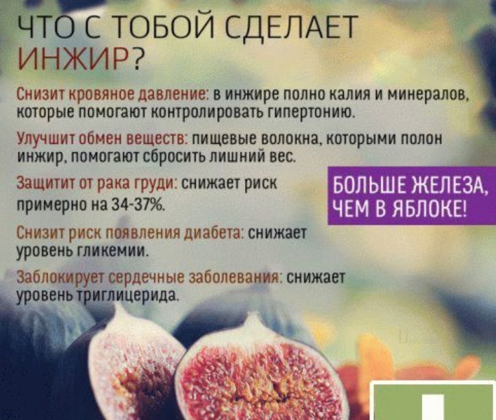 Useful properties of figs for women and the rules for its use