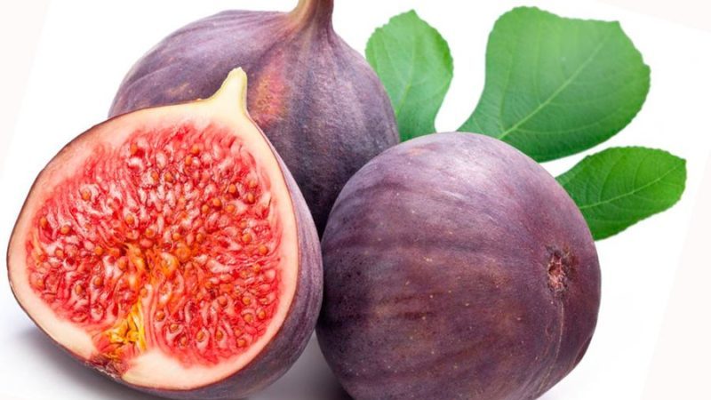 Useful properties of figs for women and the rules for its use